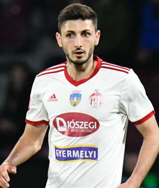 Profilbild: Nicolae Păun 