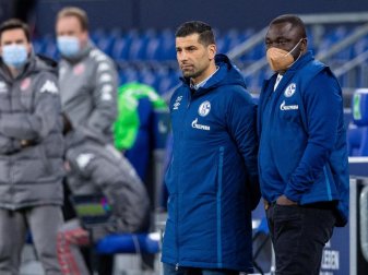 Das Schalker Trainerteam um Dimitrios Grammozis (M) hofft nach dem Punktgewinn gegen Mainz auf einen Dreier in Wolfsburg. Foto: Guido Kirchner/dpa Das Schalker Trainerteam um Dimitrios Grammozis (M) hofft nach dem Punktgewinn gegen Mainz auf einen Dreier in Wolfsburg. Foto: Guido Kirchner/dpa
