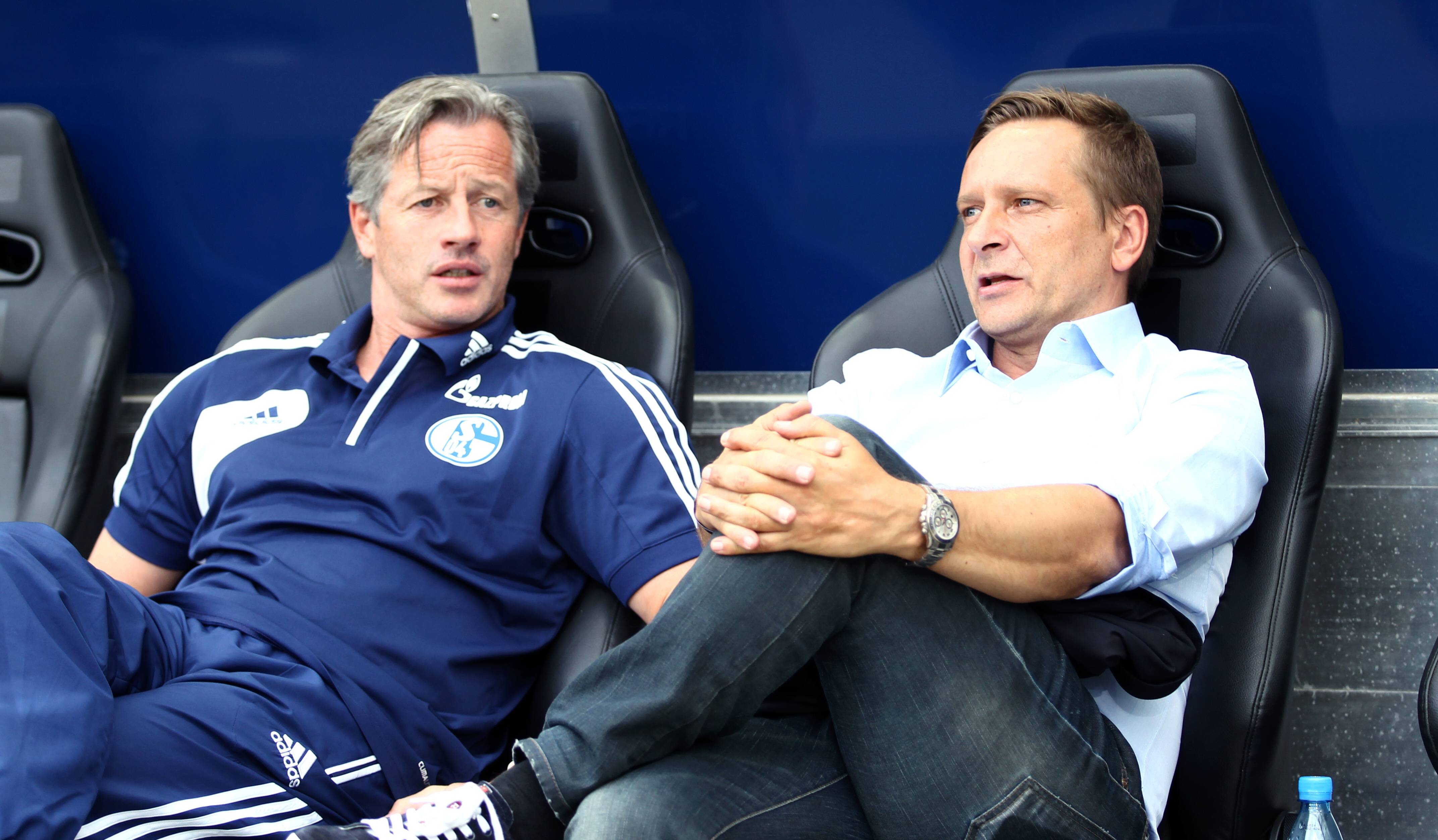 Schalke-Coach Jens Keller auf die Frage, ob er seinen Spielern als Vorbereitung auf die CL-Partie gegen Real Madrid TV-Bilder vom 4:1 des BVB gegen die Spanier im Jahr davor zeigt