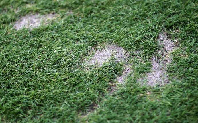 Auf dem Rasen eines Fußballplatzes sind Beschädigungen zu erkennen.