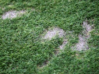 Auf dem Rasen eines Fußballplatzes sind Beschädigungen zu erkennen. Auf dem Rasen eines Fußballplatzes sind Beschädigungen zu erkennen.