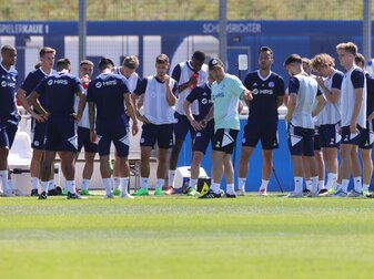 Studie: Idealer Kader mit 16 Profis plus 4 Nachwuchsspieler Studie: Idealer Kader mit 16 Profis plus 4 Nachwuchsspieler