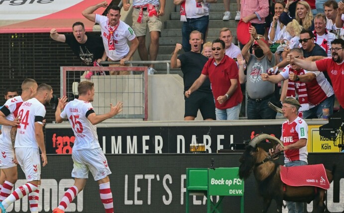 Köln sucht Hennes-Vertreter für USA-Reise