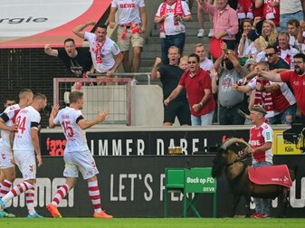 Köln sucht Hennes-Vertreter für USA-Reise Köln sucht Hennes-Vertreter für USA-Reise