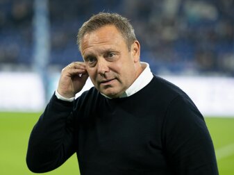 Der Cheftrainer des Fußball-Bundesligisten TSG 1899 Hoffenheim: Andre Breitenreiter. Der Cheftrainer des Fußball-Bundesligisten TSG 1899 Hoffenheim: Andre Breitenreiter.