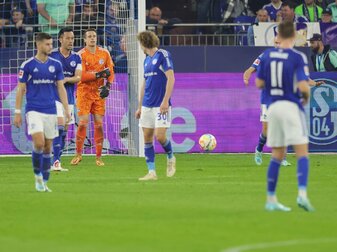 Auch Reis kann Schalker Absturz nicht stoppen Auch Reis kann Schalker Absturz nicht stoppen
