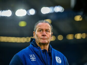 Stevens sieht bei Schalke Fortschritte unter Reis Stevens sieht bei Schalke Fortschritte unter Reis