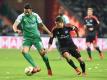 Werder Bremen und der Hamburger SV treffen zum 104. Mal im Nordderby aufeinander. Foto: Carmen Jaspersen