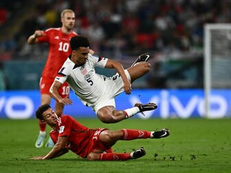 ZDF: 4,35 Mio. sehen Wales-USA ZDF: 4,35 Mio. sehen Wales-USA