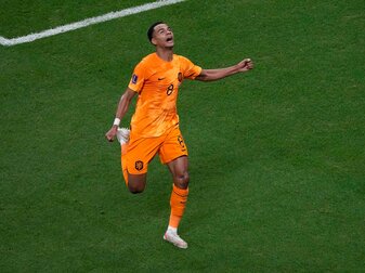 Der Niederländer Cody Gakpo feiert den Führungstreffer seiner Mannschaft gegen Katar. Der Niederländer Cody Gakpo feiert den Führungstreffer seiner Mannschaft gegen Katar.