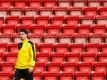 Hummels wird den BVB verlassen (Quelle: pixathlon/SID-IMAGES)