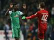 Torschütze Papy Djilobodji (l.) rettet Werder Bremen (Quelle: FIRO/SID-IMAGES)