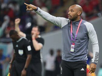 Belgien: Lukaku und Alderweireld für Henry als Nationalcoach Belgien: Lukaku und Alderweireld für Henry als Nationalcoach