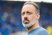 Der Cheftrainer des Fußball-Bundesligisten TSG 1899 Hoffenheim: Pellegrino Matarazzo.