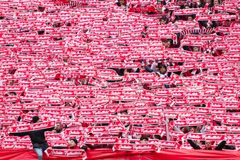 Die Fußballerinnen des 1. FC Köln können sich gegen Eintracht Frankfurt auf eine große Kulisse freuen. Die Fußballerinnen des 1. FC Köln können sich gegen Eintracht Frankfurt auf eine große Kulisse freuen.