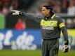 Tim Wiese sieht Hoffenheim-Deal als "Jackpot" (Quelle: PIXATHLON/SID-IMAGES)
