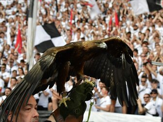 Umfrage: Frankfurt-Maskottchen und FC-Hymne am beliebtesten Umfrage: Frankfurt-Maskottchen und FC-Hymne am beliebtesten