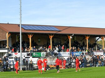 Düren erhält keine Regionalliga-Lizenz - Wattenscheid hofft Düren erhält keine Regionalliga-Lizenz - Wattenscheid hofft