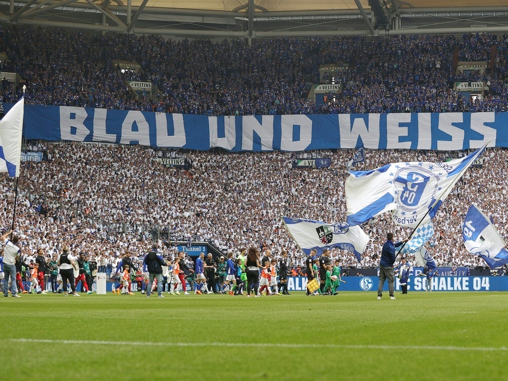 Schalke hofft und bangt: Alles drin im Herzschlagfinale
