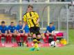 Dortmunds Matthias Ginter ist ein Kandidat für den HSV. Foto: Guido Kirchner