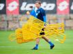 Trainer Julian Nagelsmann will seinen derzeitigen 27-köpfigen Kader vor Saisonbeginn noch etwas verschlanken. Foto: Christoph Schmidt