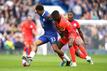 Wesley Fofana (l) vom FC Chelsea gegen Moises Caicedo von Brighton & Hove Albion.