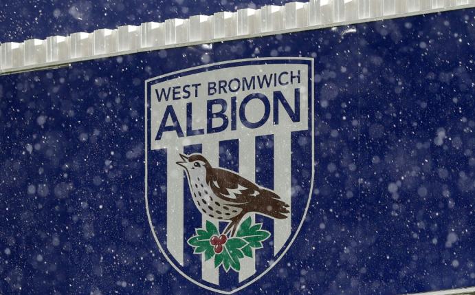 Neuer Investor für PL-Klub West Brom (Quelle: pixathlon/SID-IMAGES)
<br>© 2016 SID