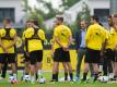 Der BVB setzte an der überhitzten Transfer-Börse rund 217 Millionen Euro um. Foto: Bernd Thissen
<br>dpa-infocom GmbH