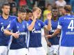 Der FC Schalke 04 findet sich bei der Auslosung in Topf 1. Foto: Uli Deck