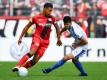 Bayer Leverkusen hat den Vertrag mit Karim Bellarabi (l) verlängert. Foto: Uwe Anspach