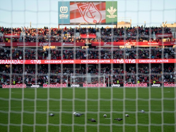 Fan stirbt nach Herzstillstand: LaLiga-Partie abgebrochen
