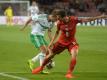 Nordirlands Ward (l.) im Zweikampf mit Wladimir Darida (Quelle: SID-IMAGES)