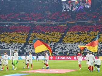 Euphorie wie 2006? Fanforscher Lange: "Hochgradig naiv" Euphorie wie 2006? Fanforscher Lange: "Hochgradig naiv"