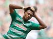 Serge Gnabrys Debüt für Werder Bremen missglückt (Quelle: FIRO/SID-IMAGES)
<br>© 2016 SID