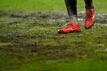Der Rasen im Saarbrücker Ludwigsparkstadion wird nach der Absage des Pokalspiels gegen Mönchengladbach ausgetauscht.
