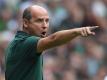 Steht unter Druck: Werder-Trainer Viktor Skripnik. Foto: Carmen Jaspersen
