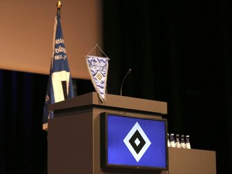 HSV-Strukturreform beschlossen - frisches Geld fraglich HSV-Strukturreform beschlossen - frisches Geld fraglich