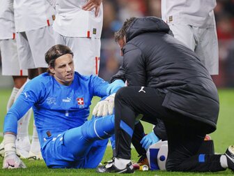 Aufschwung und Sorge: Die deutschen EM-Gegner im Formcheck Aufschwung und Sorge: Die deutschen EM-Gegner im Formcheck