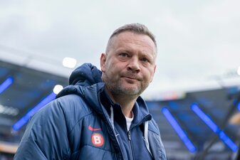 Soll sich wieder auf das Sportliche konzentrieren: Pal Dardai. Soll sich wieder auf das Sportliche konzentrieren: Pal Dardai.