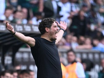 BVB: Haller fällt länger aus, Sancho wieder gesund BVB: Haller fällt länger aus, Sancho wieder gesund