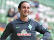 Alexander Nouri wird den SV Werder Bremen wohl auch gegen Darmstadt 98 betreuen. Foto: Carmen Jaspersen