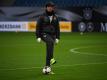 Löw hält den Druck vor Nordirland hoch (Quelle: SID)
<br>© 2016 SID