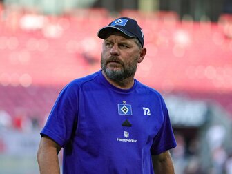 Trotz ungleicher Vorzeichen: HSV und Hertha "auf Augenhöhe" Trotz ungleicher Vorzeichen: HSV und Hertha "auf Augenhöhe"