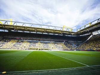 Fan beim "Abschiedszczspiel" verstorben Fan beim "Abschiedszczspiel" verstorben