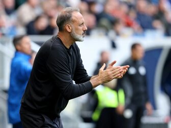 Vor Europa League: Matarazzo hat "gar keine Zweifel" Vor Europa League: Matarazzo hat "gar keine Zweifel"