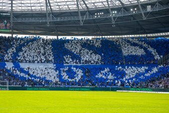 Viele Fans, wenig Geld: Schalke steht finanziell weiter vor großen Herausforderungen. Viele Fans, wenig Geld: Schalke steht finanziell weiter vor großen Herausforderungen.