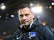 Pal Dardai hat Personalsorgen. Foto: Bernd Thissen