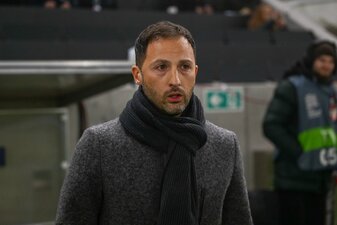 Die Kritik an Belgiens Nationaltrainer Domenico Tedesco wächst. Die Kritik an Belgiens Nationaltrainer Domenico Tedesco wächst.