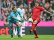 Bayern und Hoffenheim trennen sich 1:1 (Quelle: FIRO/SID-IMAGES)