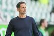 Dino Toppmöller ist seit 2023 im Amt als Cheftrainer von Eintracht Frankfurt. | Foto: Selim Sudheimer/Getty Images